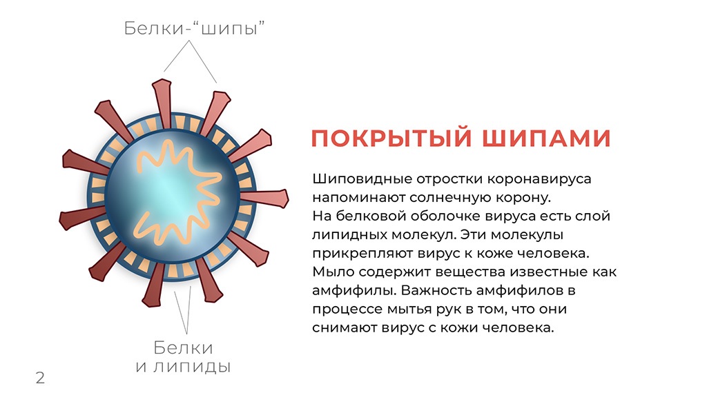коронавирус инфографика