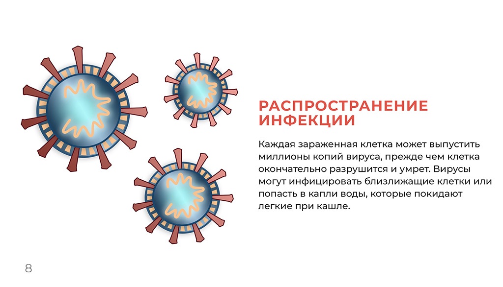 коронавирус инфографика